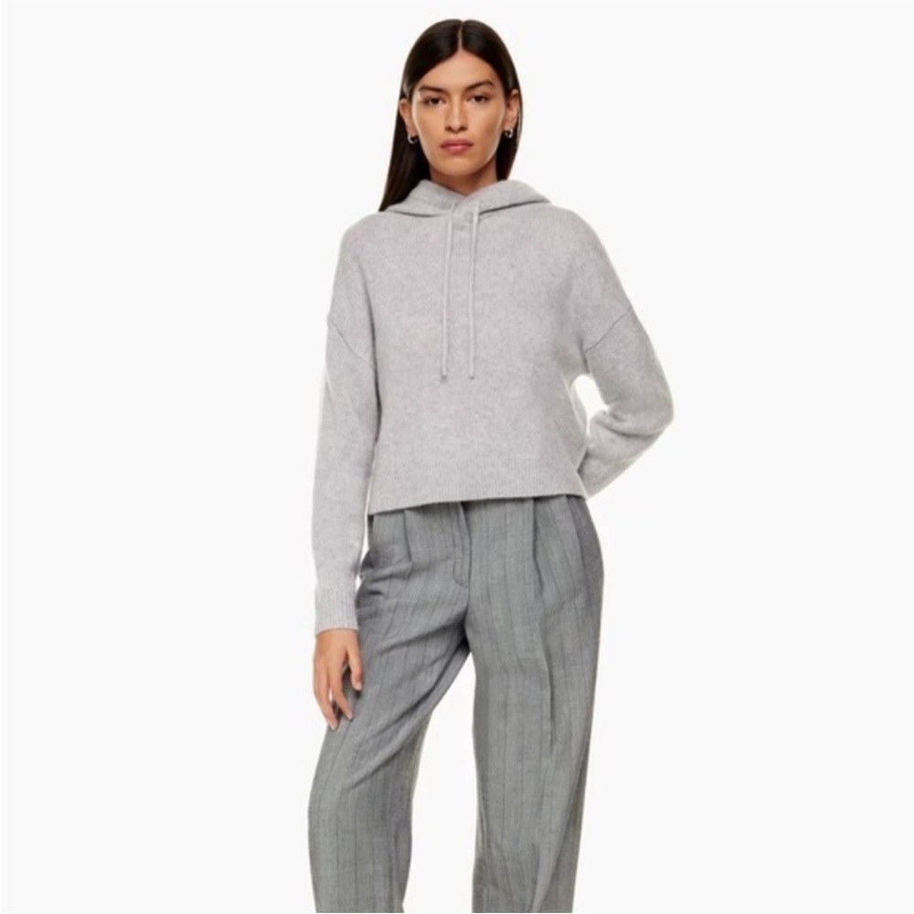 Aritzia The Group by Babaton Luxe Cashmere Hoodie in Light Cool Gray
